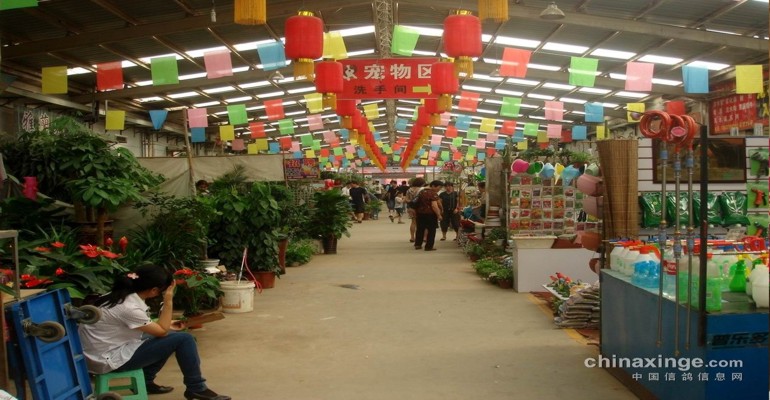 Market Kwiatów i Ptaków